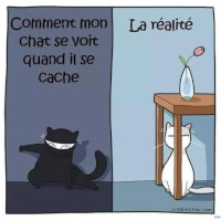 Humour