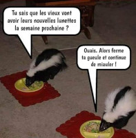 Humour